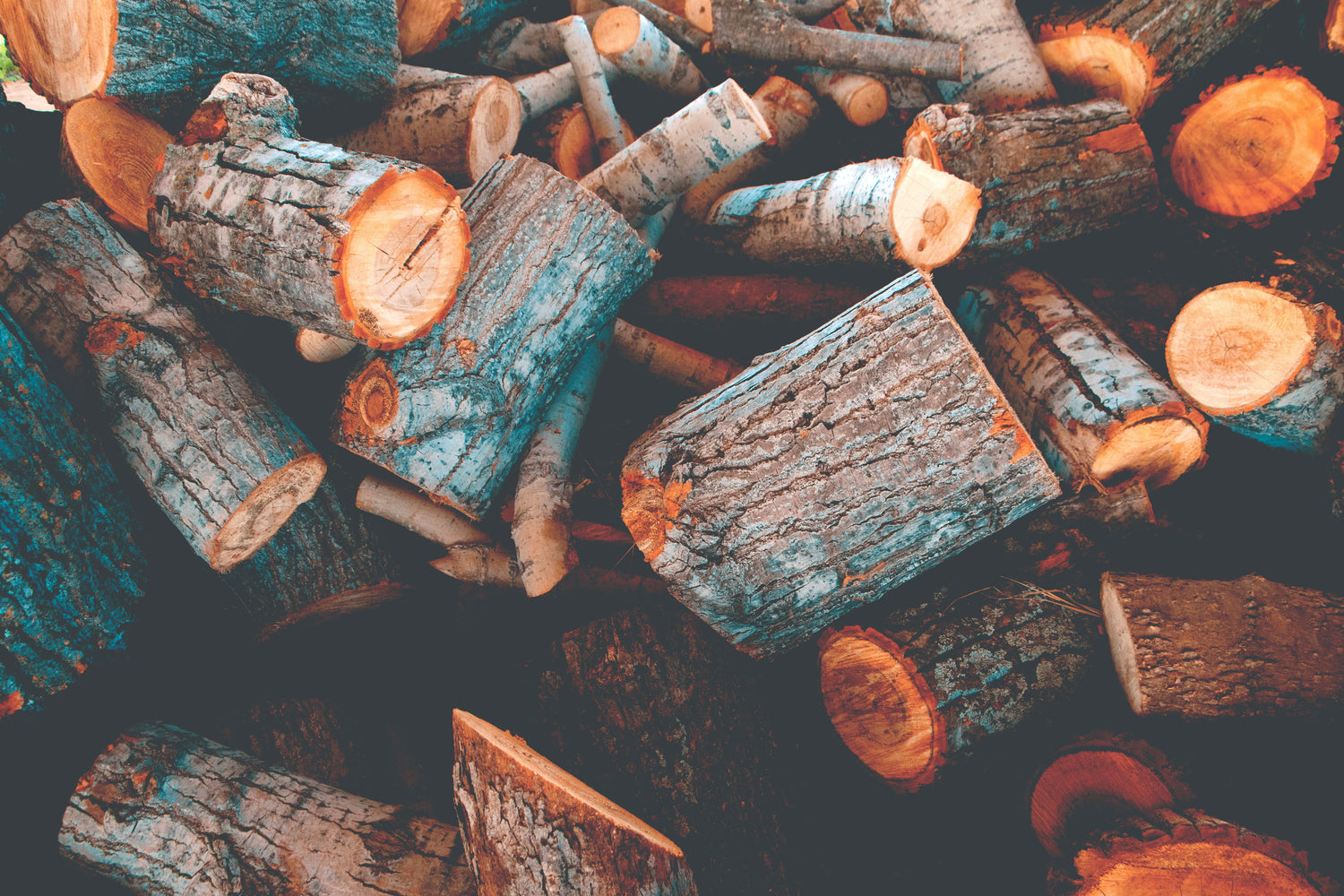 Are Log Burners More Cost-Effective Than Central Heating?